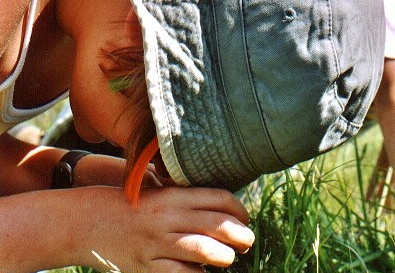 Humain