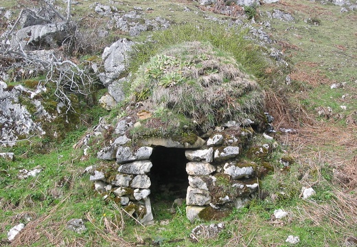 Orri