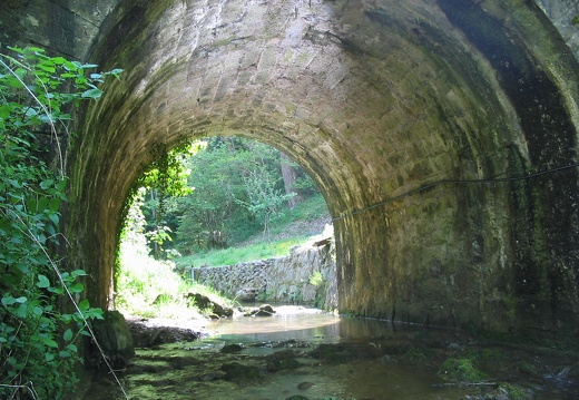 Pont