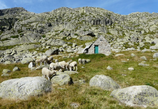 Refuge