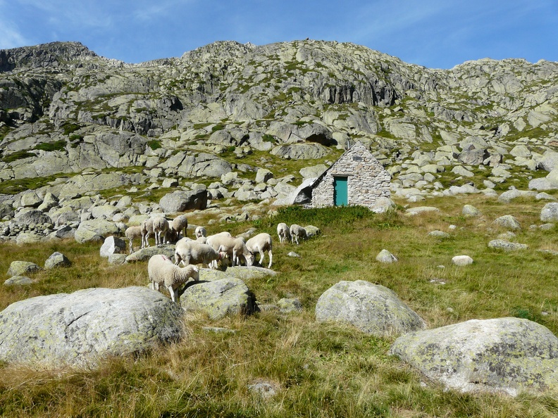 Refuge