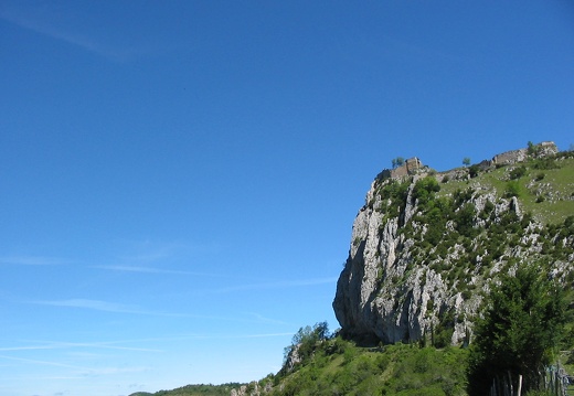 Roche