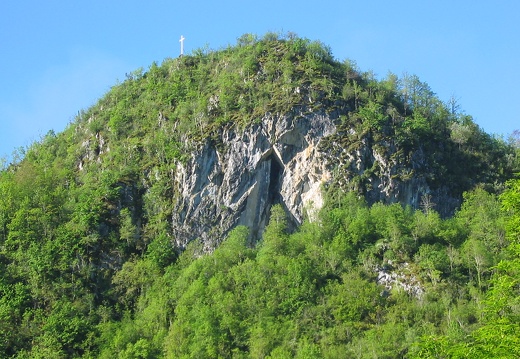 Roche