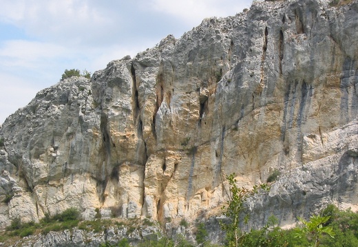Roche