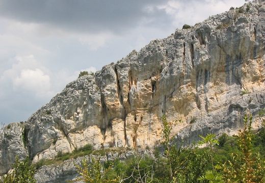 Roche