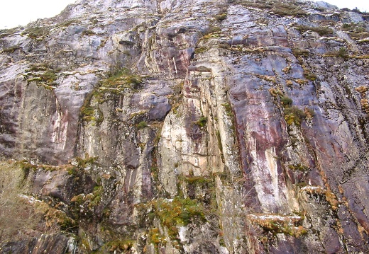 Roche