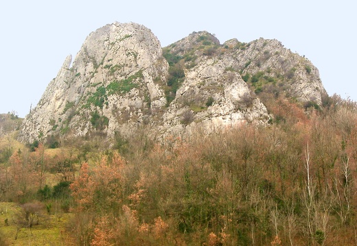 Roche