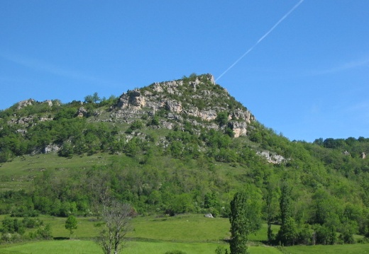 Roche