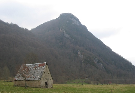 Roche