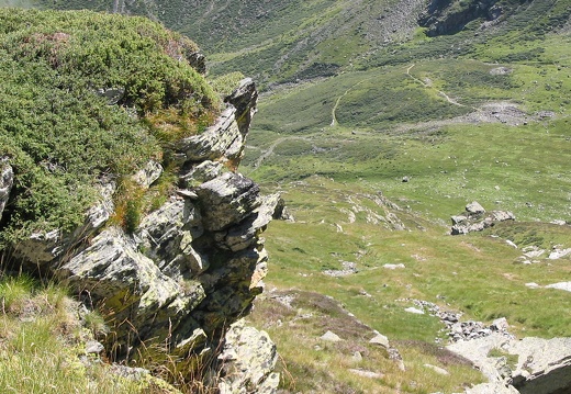 Roche