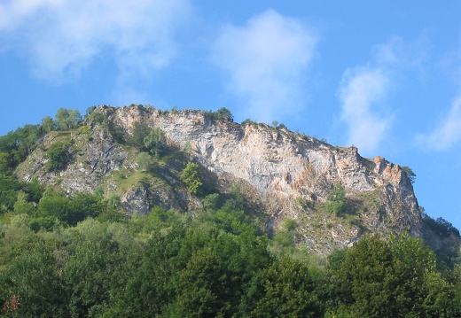 Roche