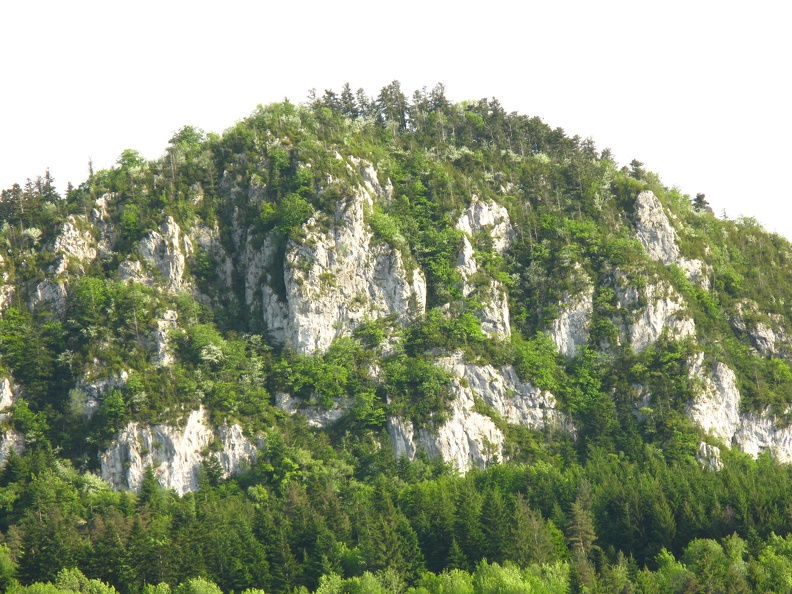 Roche19.jpg