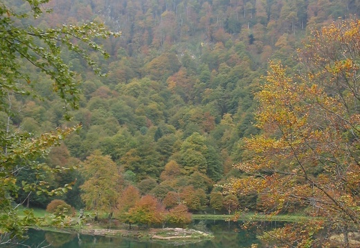Lac