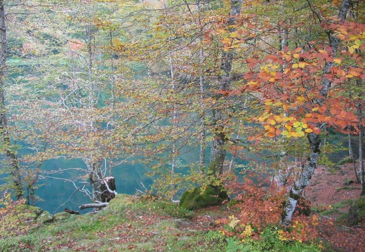 Lac