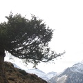 Col d'Agnes