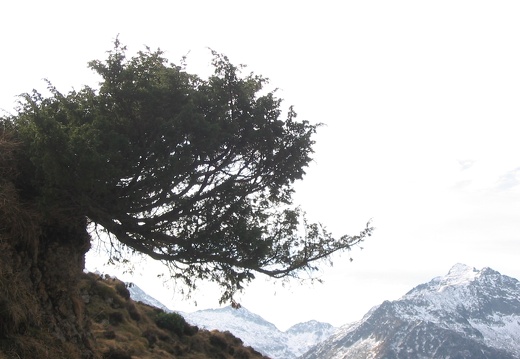 Col d'Agnes
