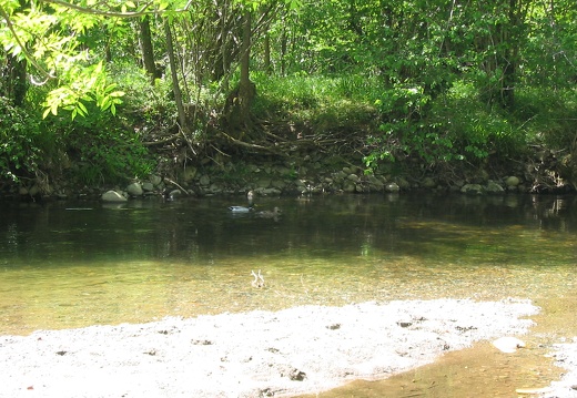 Cours d'eau Soulan