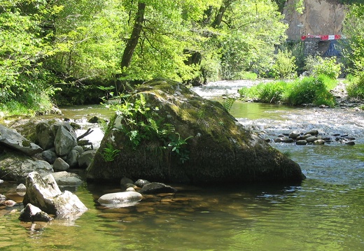 Cours d'eau Soulan