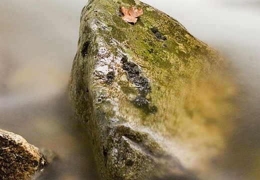 Cours d'eau