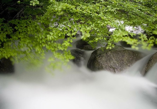 Cours d'eau