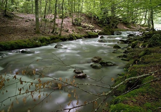 Cours d'eau