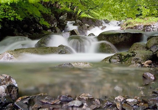 Cours d'eau