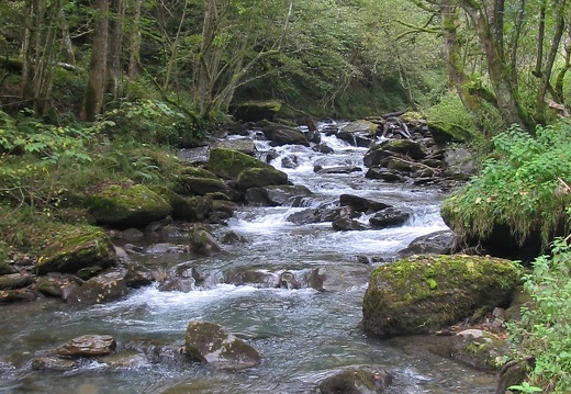 Cours d'eau Chapelle de l'Isard