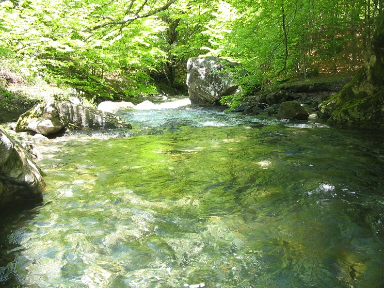 Cours d'eau Fouillet