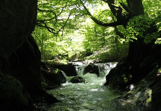 Cours d'eau Fouillet