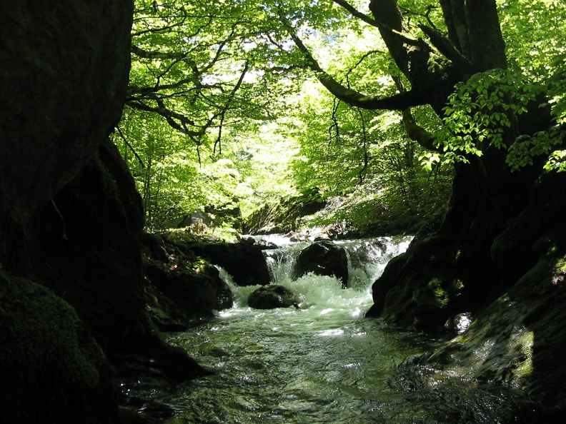 Cours d'eau Fouillet