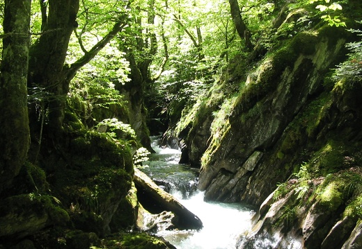 Cours d'eau Fouillet
