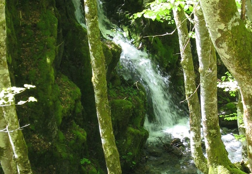 Cours d'eau Fouillet