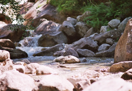 Cours d'eau Riberot