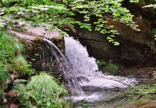 Cours d'eau Riberot