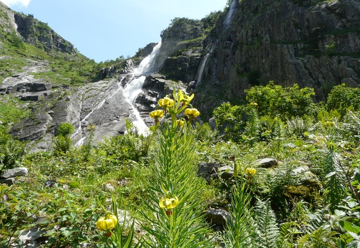 Cascade Nerech