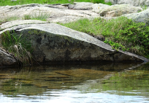 Granite