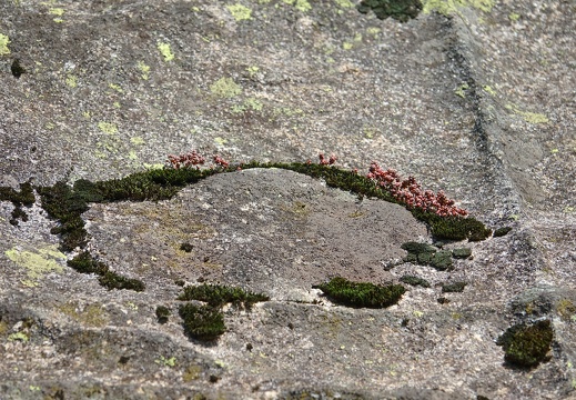 Granite