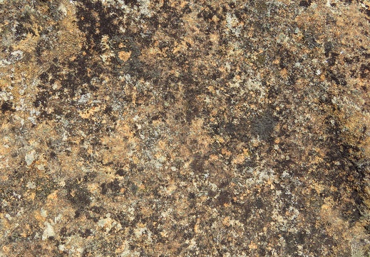 Lherzolite