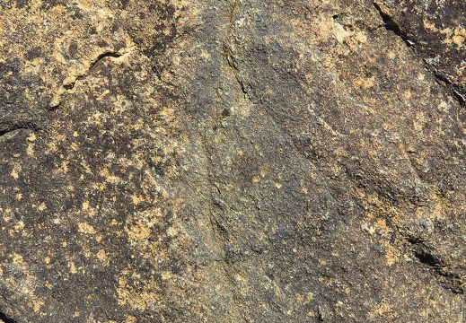 Lherzolite