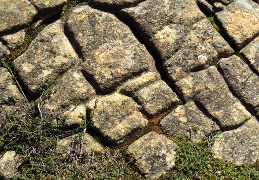 Lherzolite