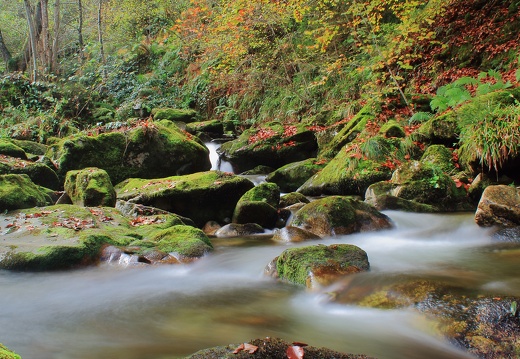 Ruisseau