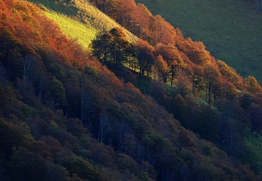 Levé de soleil automnal Julien Vergne (2)