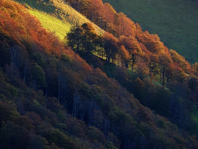 Levé de soleil automnal Julien Vergne (2)
