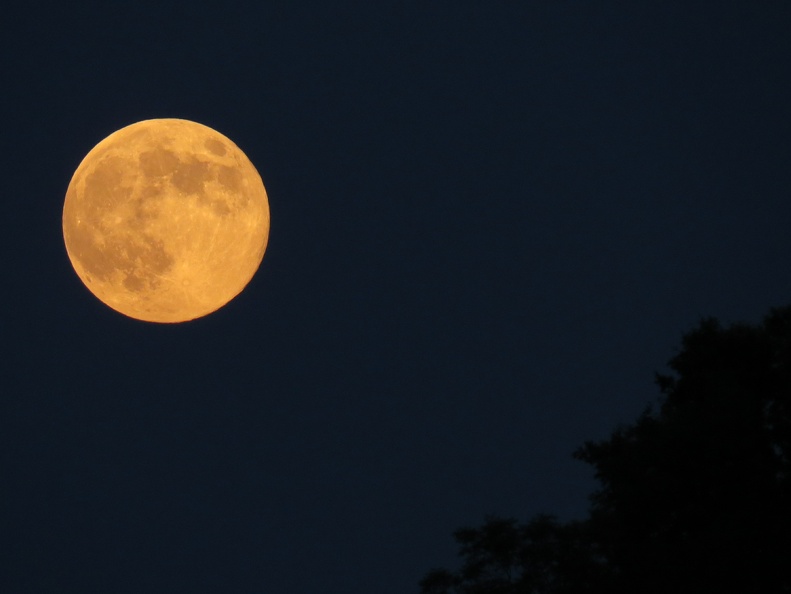Lune rousse Julien Vergne