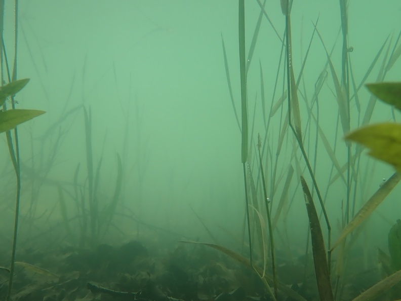 Sous l&#039;eau de Montbel Julien Vergne