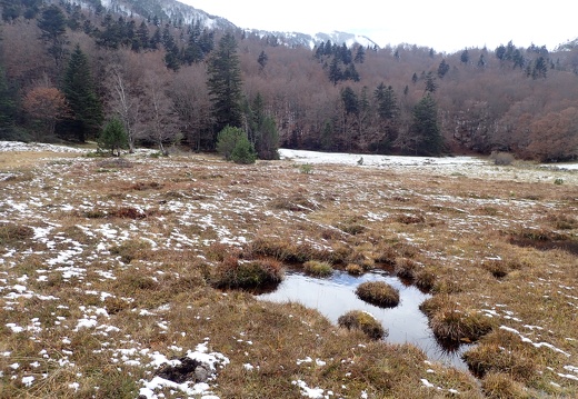 Tourbière de Soucarat Alexis Calard