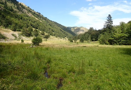 Tourbière de Soucarat Alexis Calard