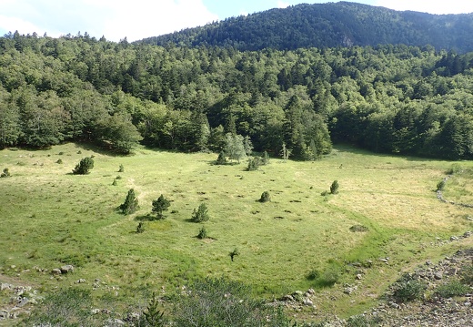TourbiereSoucarat Alexis Calard