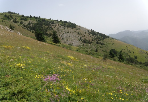 P7200446