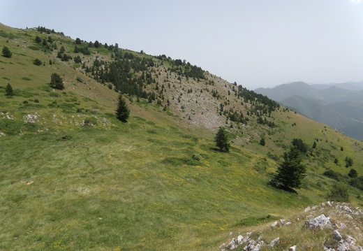 P7200489